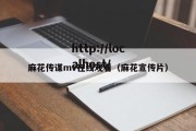 麻花传谋mv在线观看（麻花宣传片）
